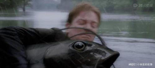 大鱼电影在线观看,在线观看，畅享视觉盛宴